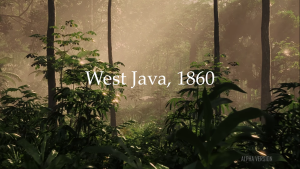 West Java 1860 West Java 1860